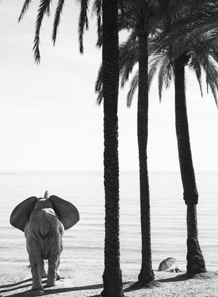 Photograph Jose Luis Hidalgo Salguero Playa De La Fontanilla on One Eyeland
